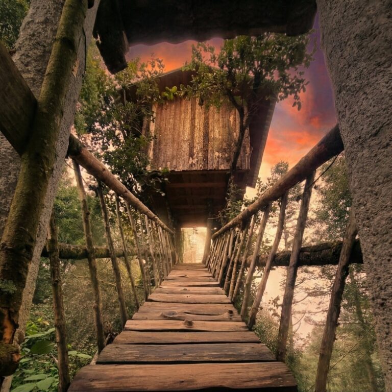 La pequeña casa en el árbol
