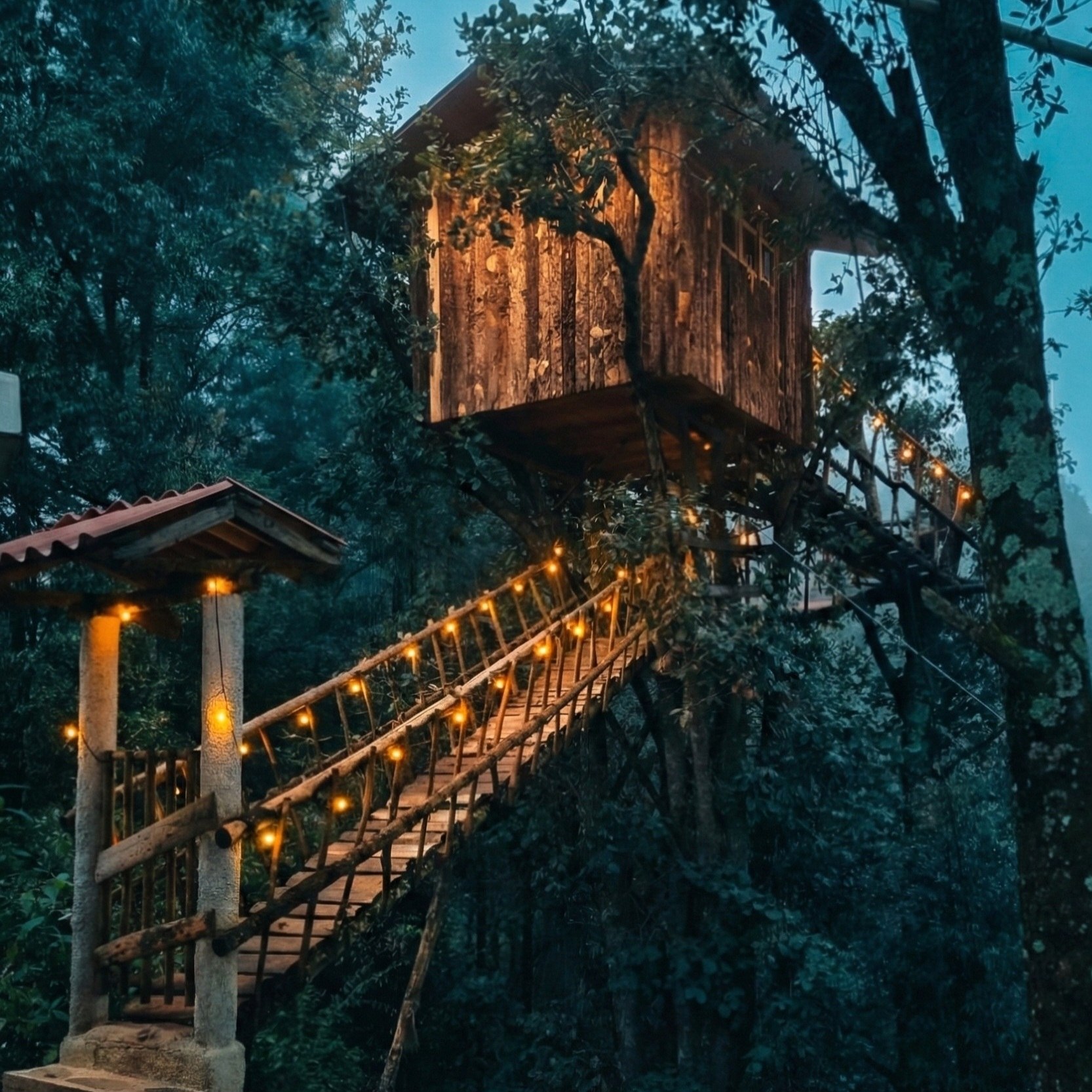 La Pequena Casa en el Arbol